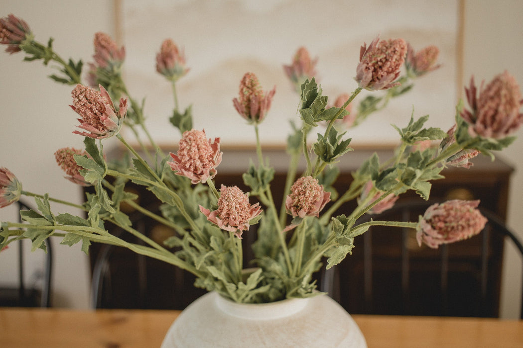 Chardon décoratif “Bell” 
/Bell Thistle - *livraison seulement*