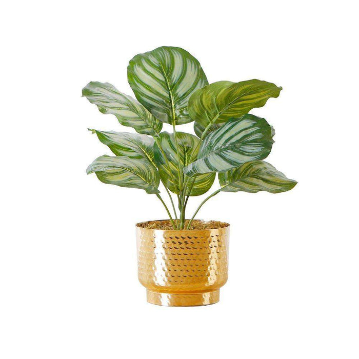 Calathea Faux Potted Plant