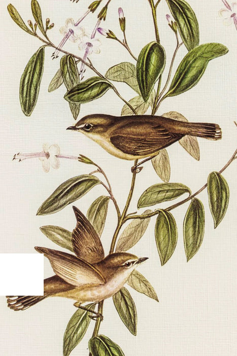 ÉVEIL PRINTANIER, Oeuvre sur toile rigide, encadré Vintage Argent