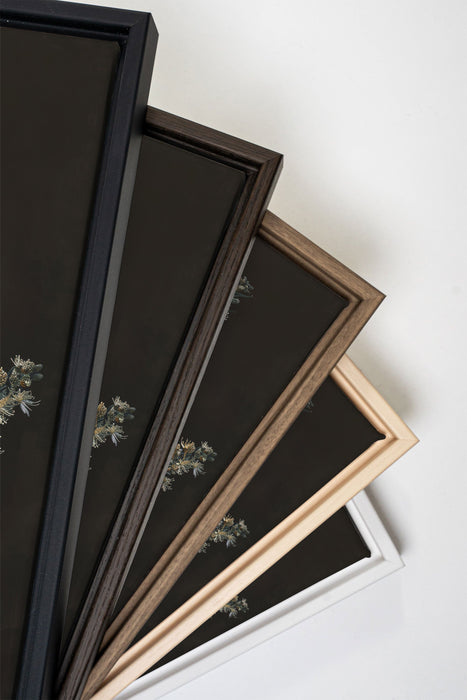 FLEUR D'ARGENT, Oeuvre sur toile étirée