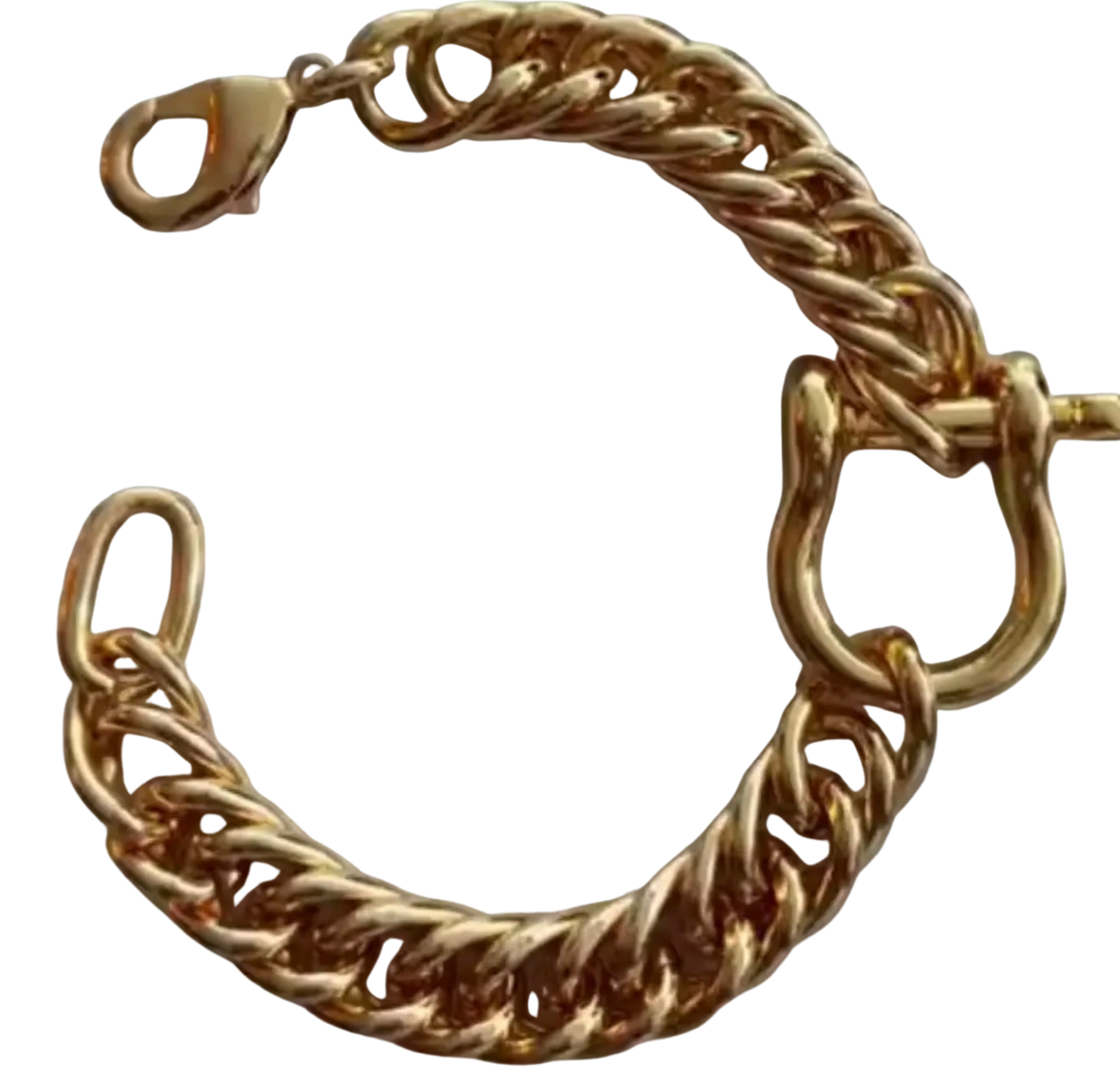 Bracelet cubain en acier avec mousqueton mors de cheval - Canada